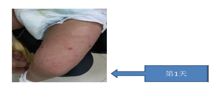 圖片1.jpg 圖片1.jpg