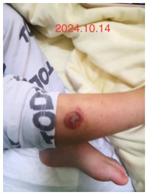 Snipaste_2024-10-22_16-18-34.jpg Snipaste_2024-10-22_16-18-34.jpg