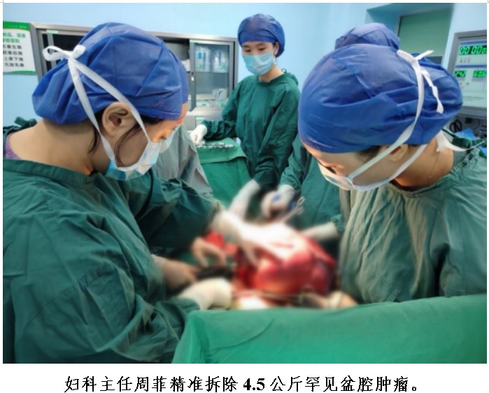 Snipaste_2026-02-11_09-01-11.jpg Snipaste_2026-02-11_09-01-11.jpg